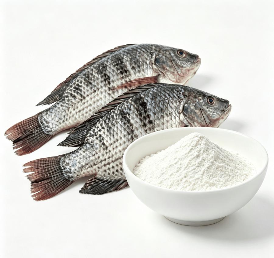Fish Collagen Tripeptide